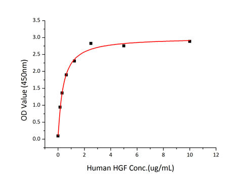 Recombinant Human HGF receptor/c-MET/MET Protein