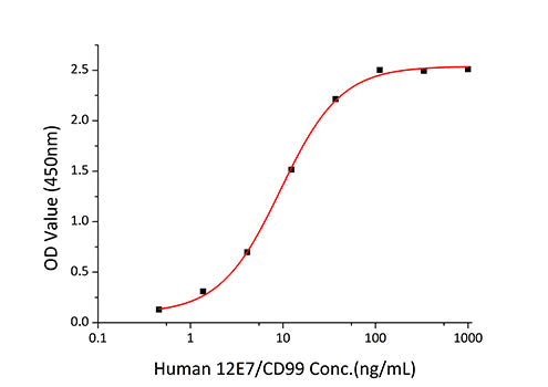 Recombinant Human 12E7/MIC2 /CD99 Protein