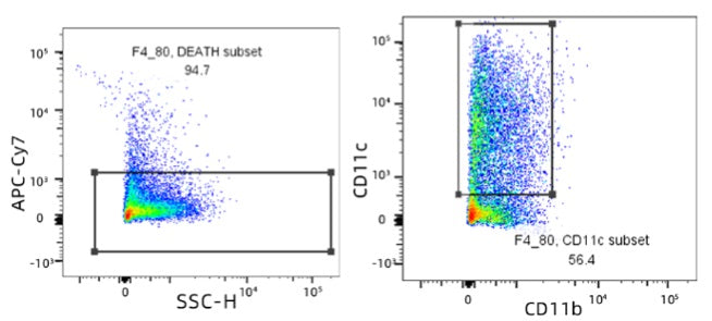 Recombinant Mouse Flt3 ligand/Flt3L Protein