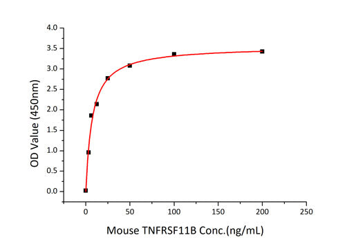 Recombinant Mouse TNFRSF11B/Osteoprotegerin Protein