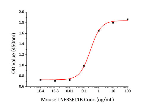 Recombinant Mouse TNFRSF11B/Osteoprotegerin Protein