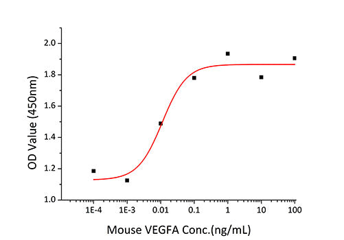 Recombinant Mouse VEGF-A/VEGF164 Protein