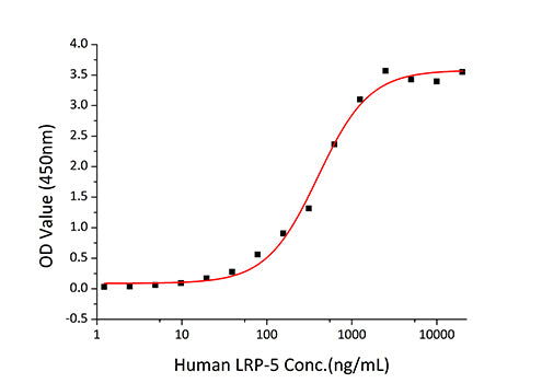 Recombinant Mouse Dkk-1 Protein