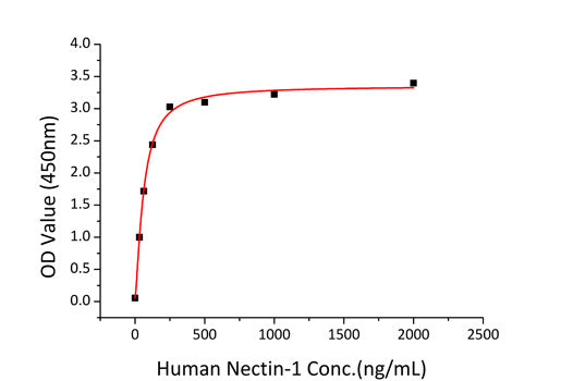 Recombinant Human Nectin-1/PVRL1/CD111 Protein