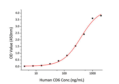 Recombinant Human CD6 Protein