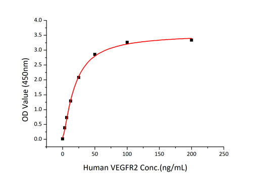 Recombinant Human VEGF-A/VEGF165 Protein