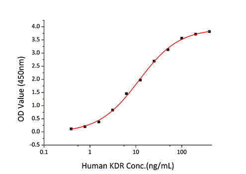 Recombinant Human VEGF-A/VEGF165 Protein