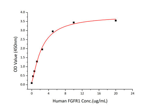 Recombinant Human FGFR-1/FLT-2/CD331 Protein