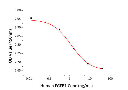 Recombinant Human FGFR-1/FLT-2/CD331 Protein