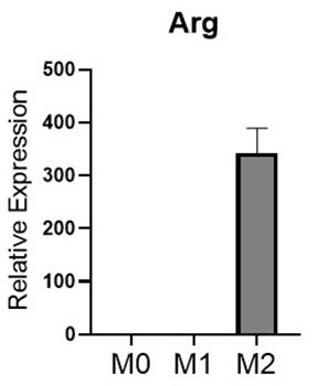Recombinant Mouse IL-4 Protein