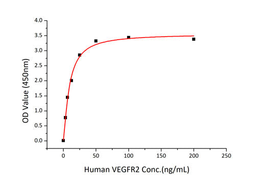 Recombinant Human VEGF-A/VEGF121 Protein