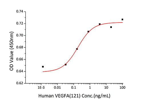 Recombinant Human VEGF-A/VEGF121 Protein