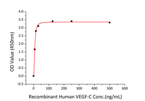 Recombinant Human Flt4 ligand/VEGF-C Protein