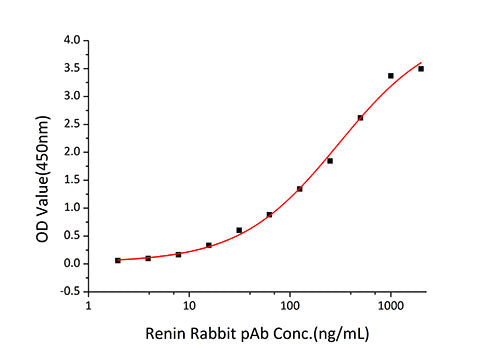 Recombinant Human Renin/REN Protein