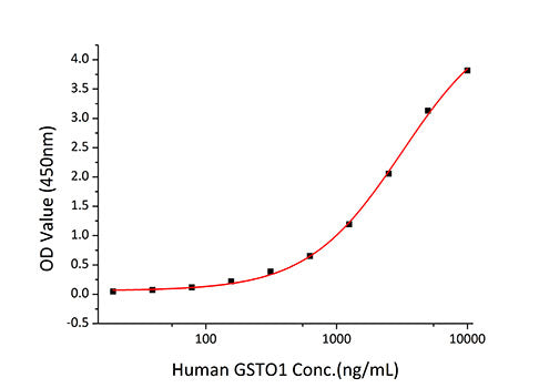 Recombinant Human Annexin A5/ANXA5 Protein