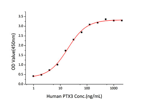 Recombinant Human TSG-14/PTX3 Protein
