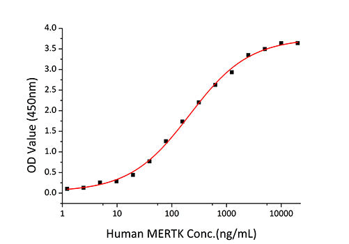 Recombinant Human MERTK Protein
