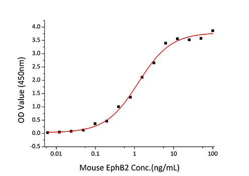 Recombinant Mouse EphB2 Protein
