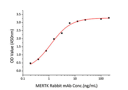 Recombinant Human MERTK Protein