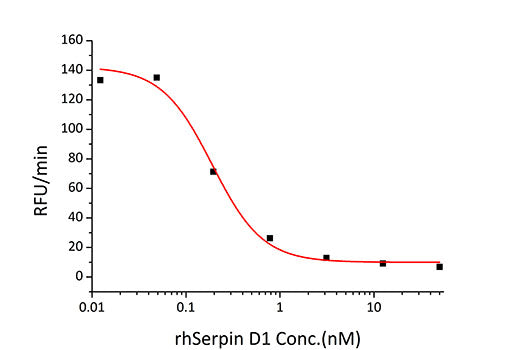 Recombinant Human Serpin D1/Heparin cofactor 2 Protein