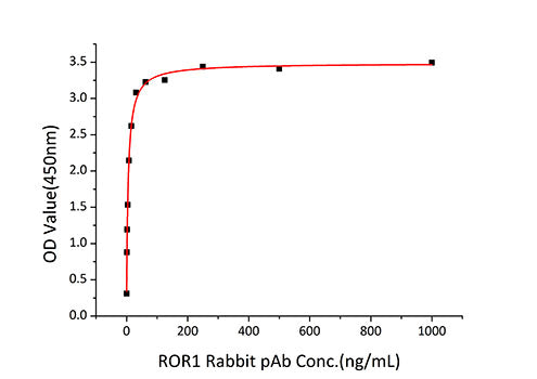 Recombinant Human ROR1 Protein
