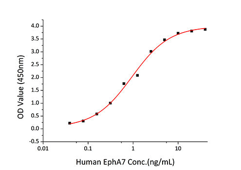 Recombinant Human EphA7/EHK-3 Protein