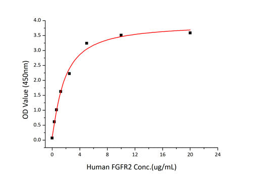 Recombinant Human FGFR-2 alpha (IIIc)/KGFR/CD332 Protein
