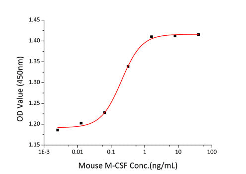 Recombinant Mouse CSF-1/M-CSF Protein