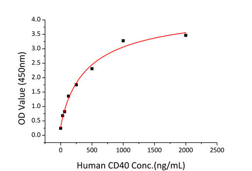 Recombinant Human TNFRSF5/CD40 Protein