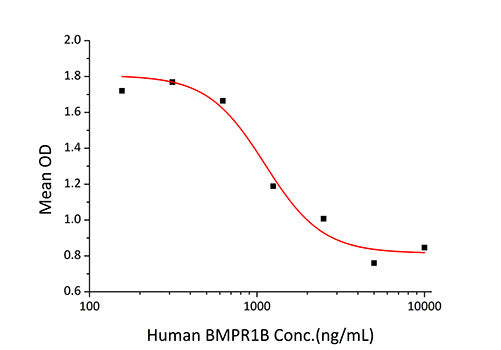 Recombinant Human BMPR-1B/ALK-6/CDw293 Protein