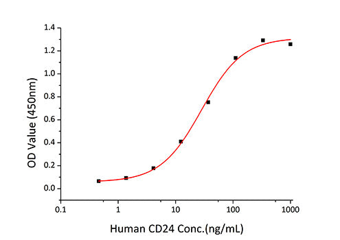 Recombinant Human CD24 Protein
