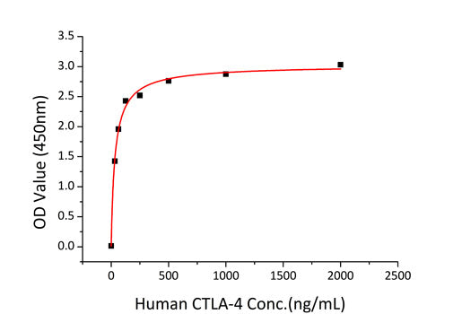 Recombinant Mouse B7-1/CD80 Protein