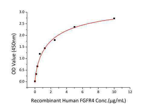 Recombinant Human FGF-19 Protein