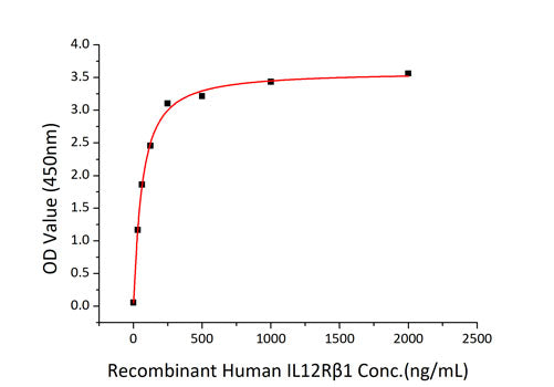 Recombinant Human IL-12/IL-12A&IL-12B Protein