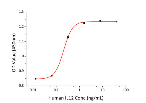 Recombinant Human IL-12/IL-12A&IL-12B Protein