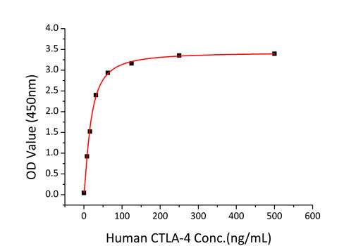 Recombinant Mouse B7-2/CD86 Protein