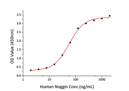 Recombinant Human Noggin/NOG Protein