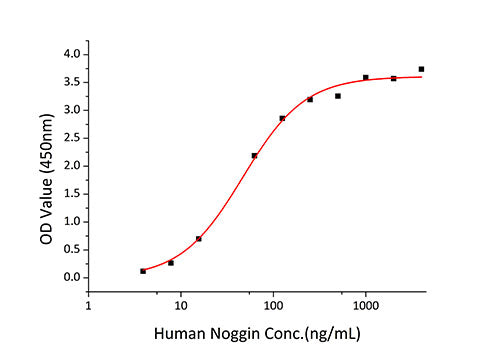 Recombinant Human Noggin/NOG Protein