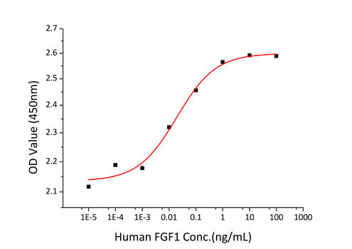 Recombinant Human FGF-1/aFGF Protein