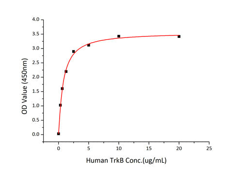 Recombinant Human/Mouse/Rat BDNF Protein