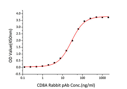 Recombinant Human CD8a Protein