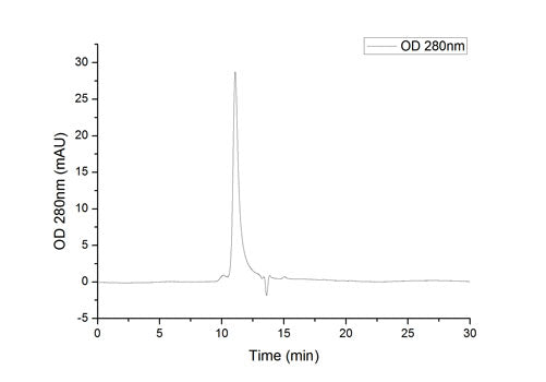 Recombinant SARS-CoV-2 Spike RBD  Protein