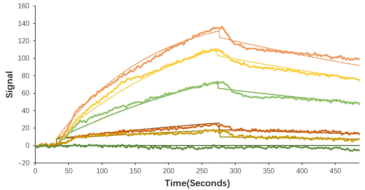 Recombinant SARS-CoV-2 Spike RBD  Protein