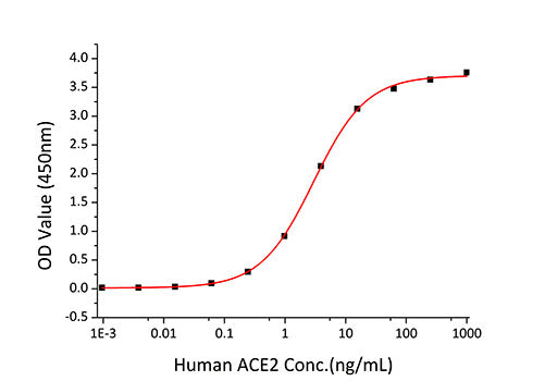 Recombinant SARS-CoV-2 Spike RBD  Protein