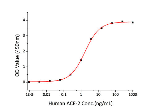 Recombinant SARS-CoV-2 Spike RBD  Protein