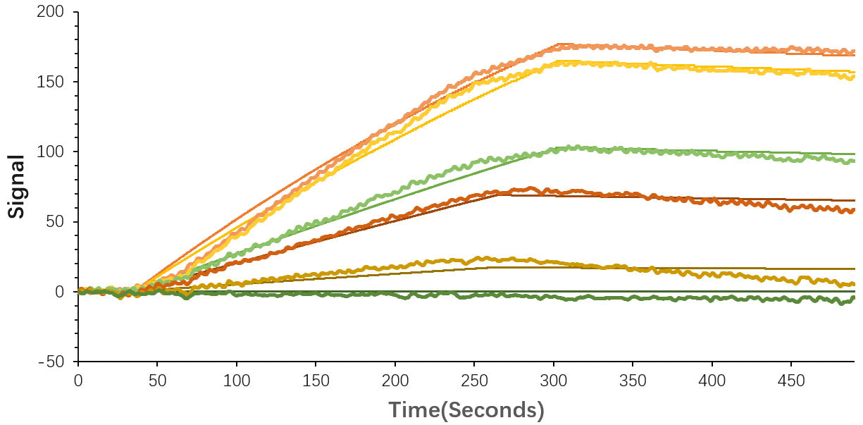 Recombinant SARS-CoV-2 Spike S1 Protein