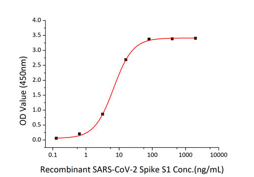 Recombinant SARS-CoV-2 Spike S1 Protein