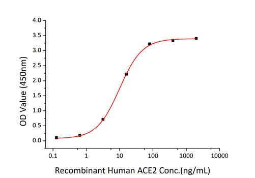 Recombinant SARS-COV-2 Spike S1+S2 ECD(S-ECD) Protein