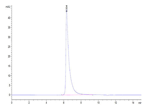 Recombinant SARS-CoV-2 Spike S1+S2 ECD(S-ECD) Protein