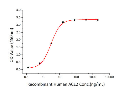 Recombinant SARS-CoV-2 Spike S1+S2 ECD(S-ECD) Protein